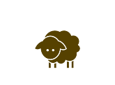 sheep‘s milk